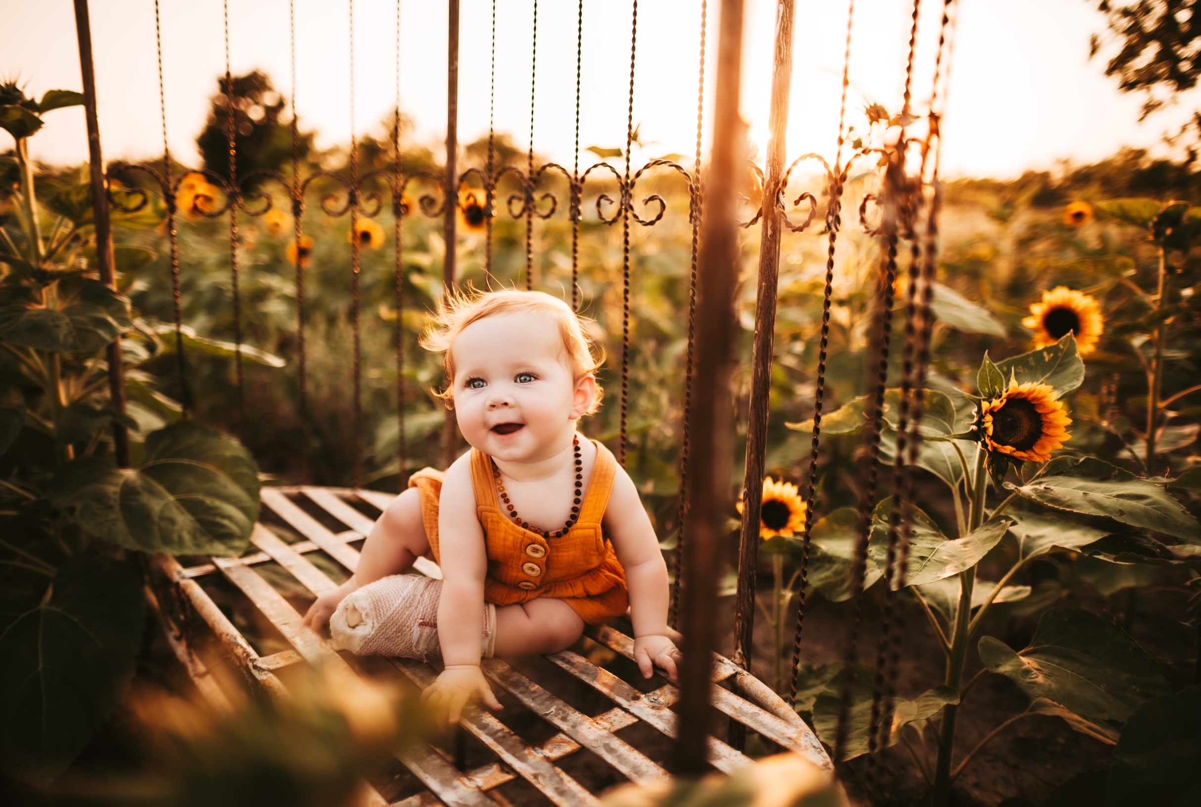 Flower Field Photo Ops