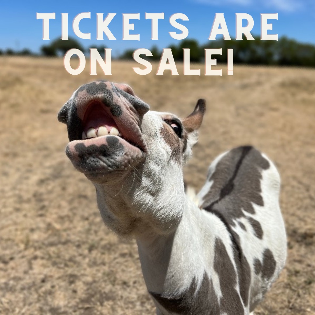 TICKET PRESALE! 🎟️