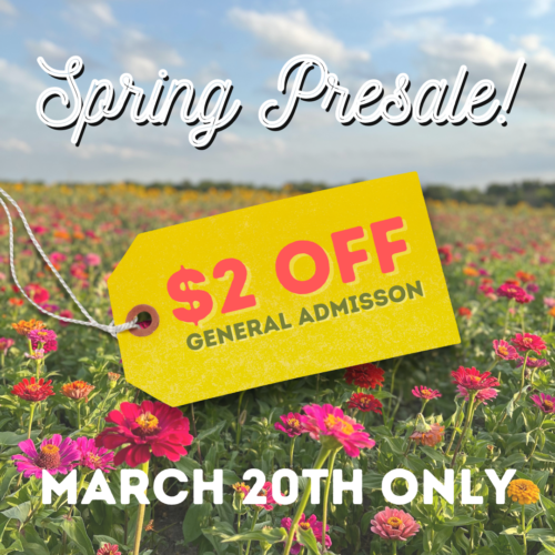 SPRING TICKET PRESALE