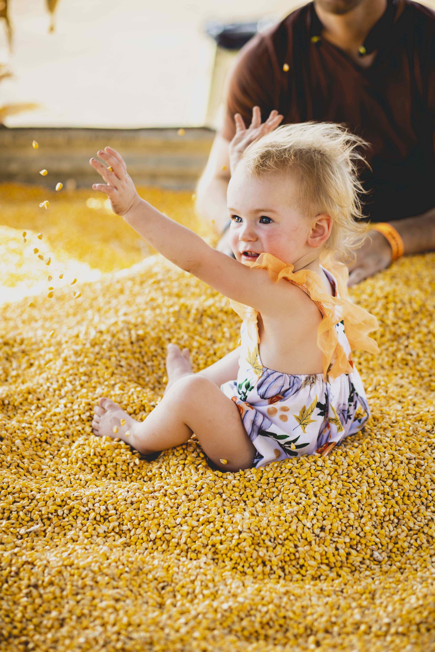 NEW! The Corn Barn