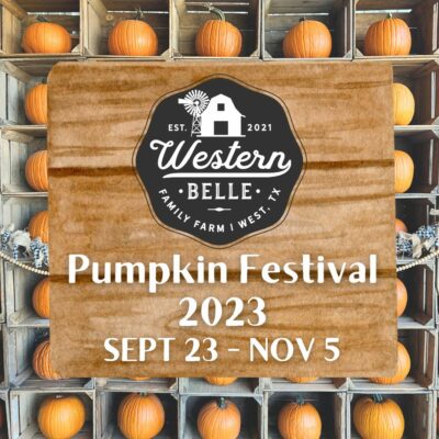 🎃 2023 Pumpkin Festival 🎃