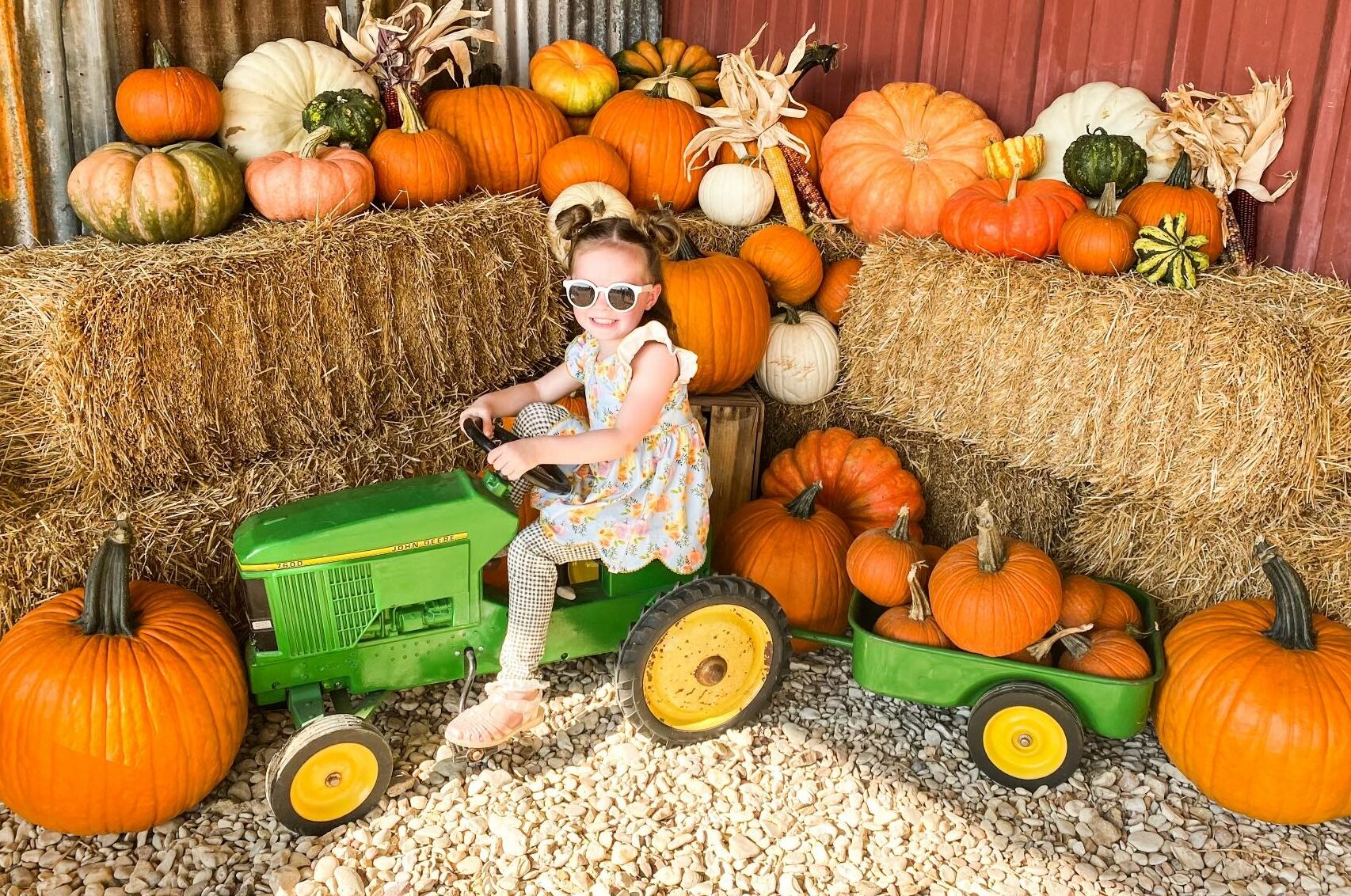 Pumpkin Photo Ops
