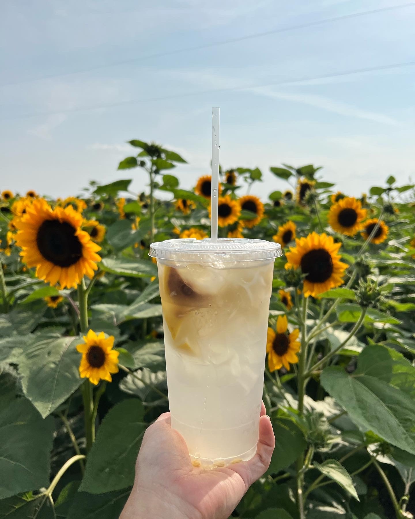 Food on the farm