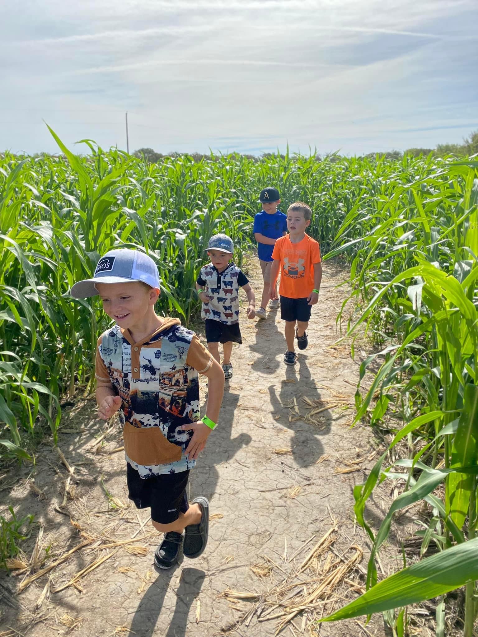 4 Acre Maze