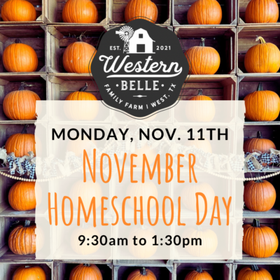 ✏️ 🍎 NOVEMBER HOMESCHOOL DAY INFORMATION 🍎✏️
