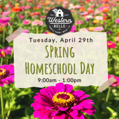 Spring Homeschool Day