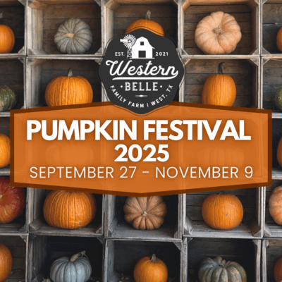 Pumpkin Festival 2025