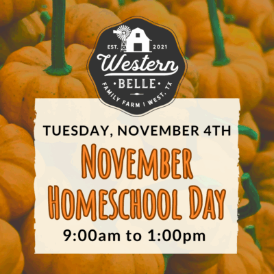 November Homeschool Day