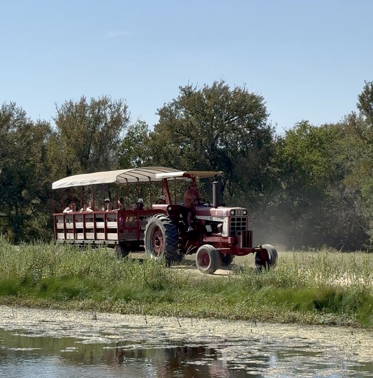 Hayrides