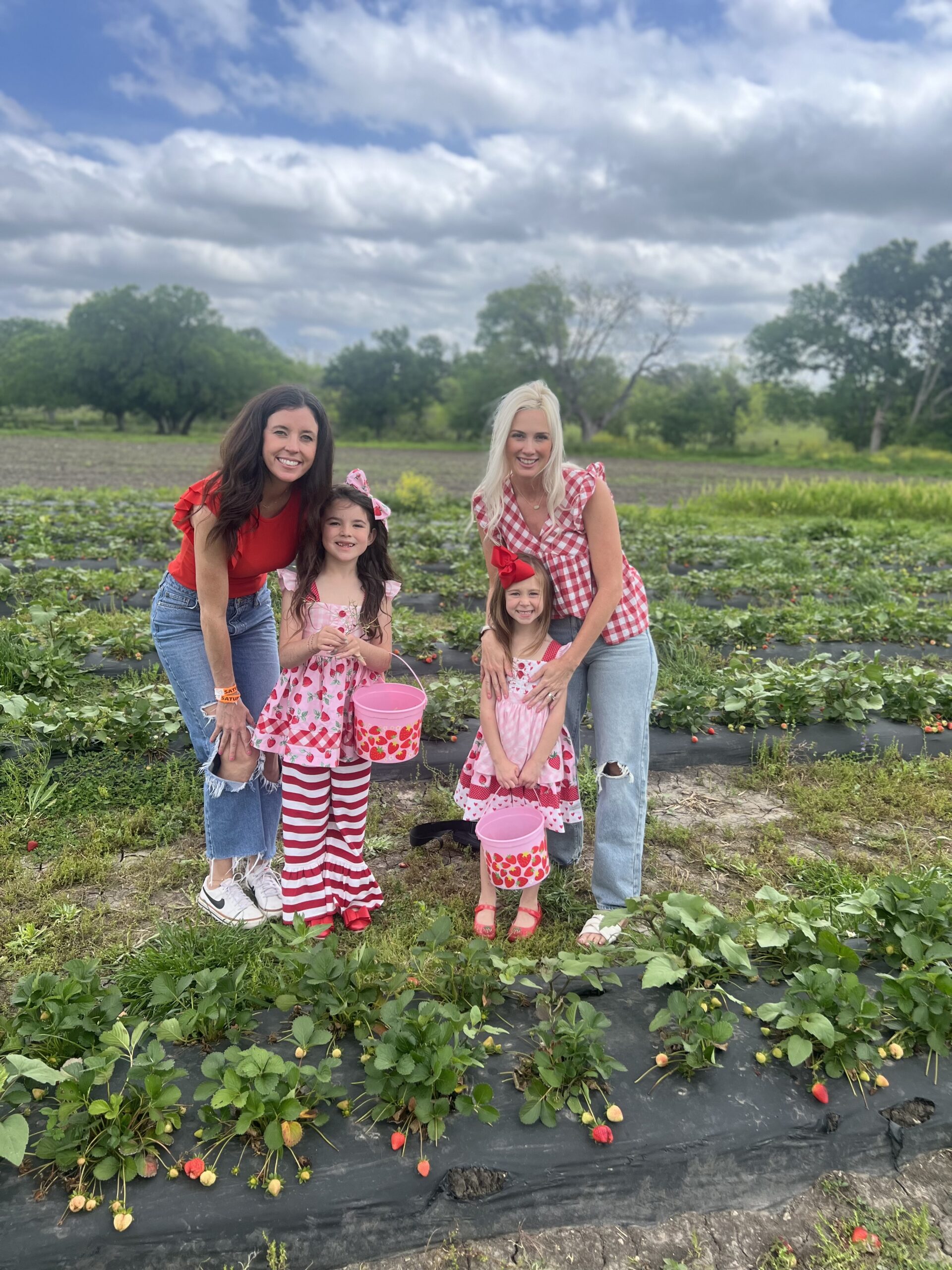 2026 Strawberry U-Pick