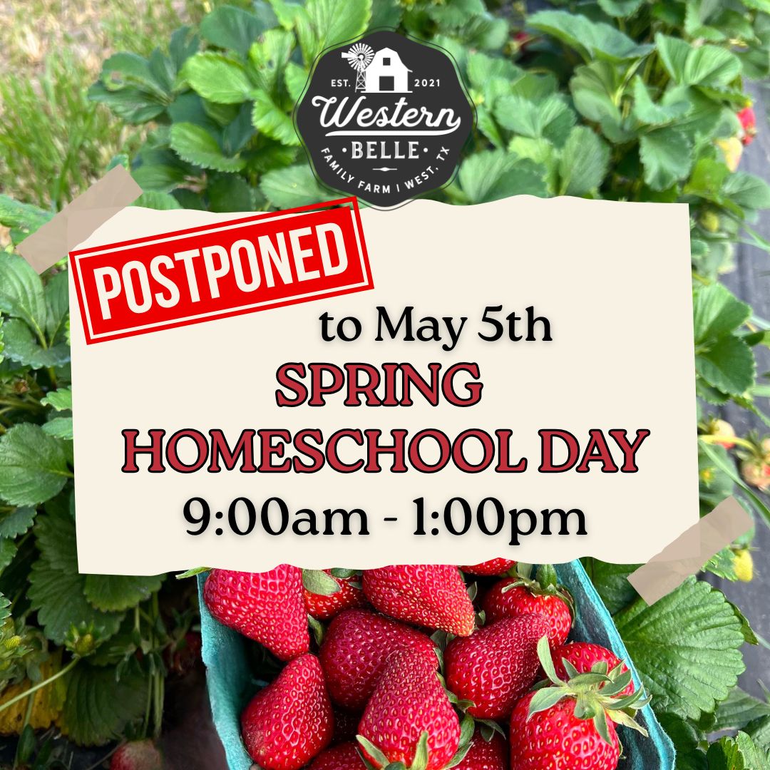 ✏️ 🍓 HOMESCHOOL DAY RESCHEDULED🍓✏️