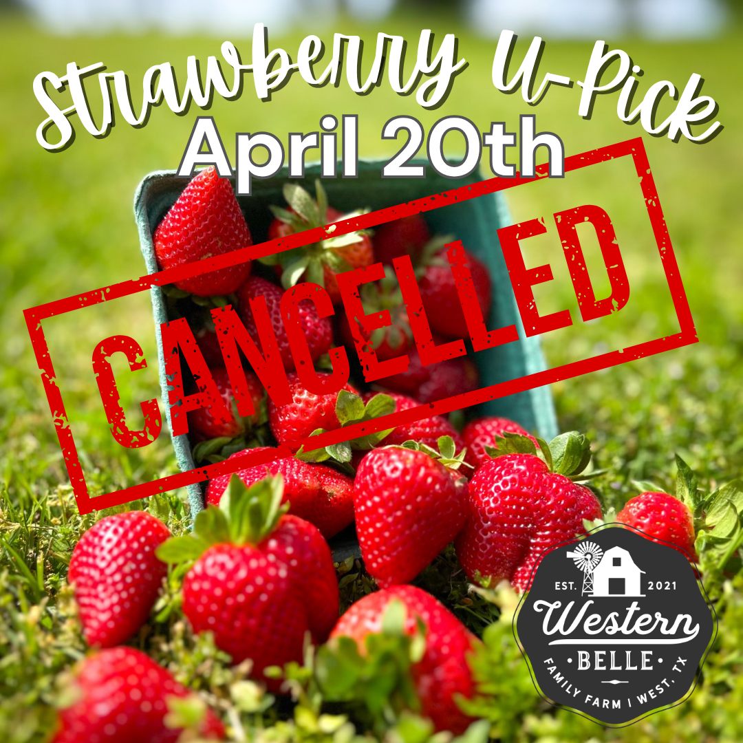 🍓 WE HAVE CANCELLED THE U-PICK FOR MONDAY APRIL 20th 🍓