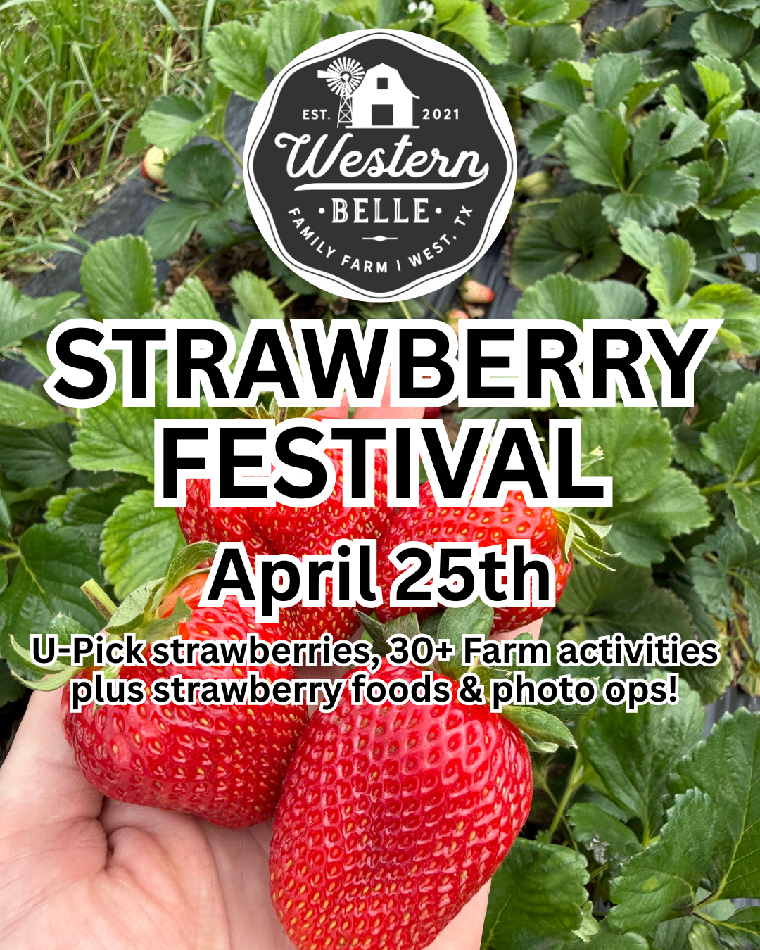 STRAWBERRY FESTIVAL