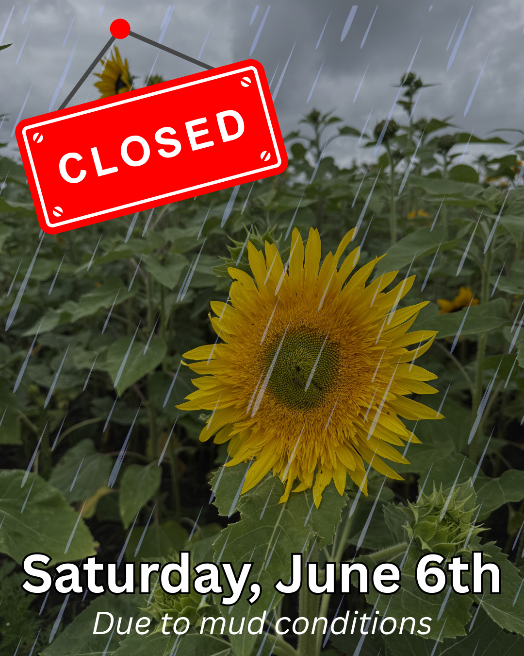 🚫 CLOSED SATURDAY JUNE 6TH! 🚫