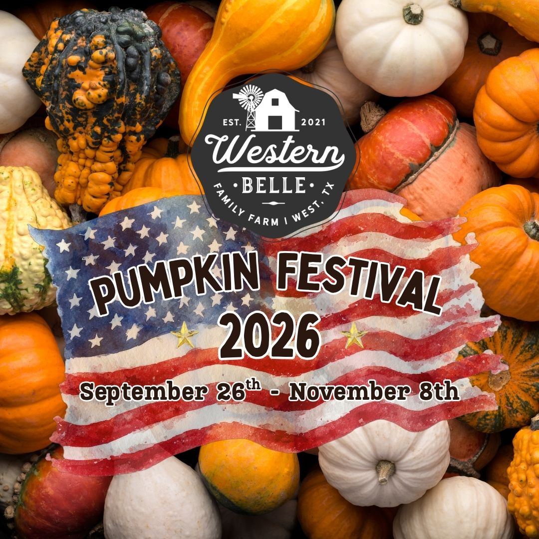 🎃🇺🇸 PUMPKIN FESTIVAL 2026 🇺🇸🎃