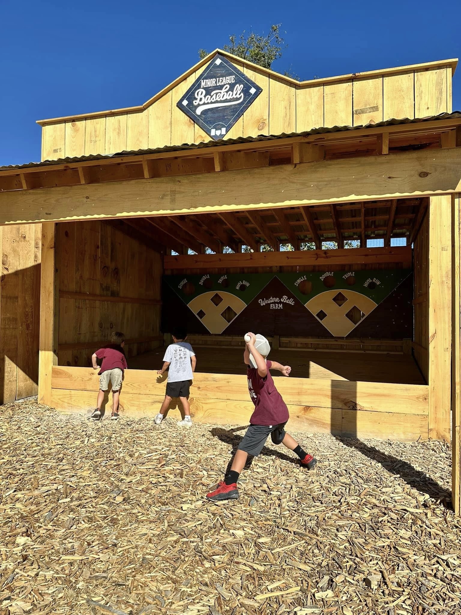 Baseball